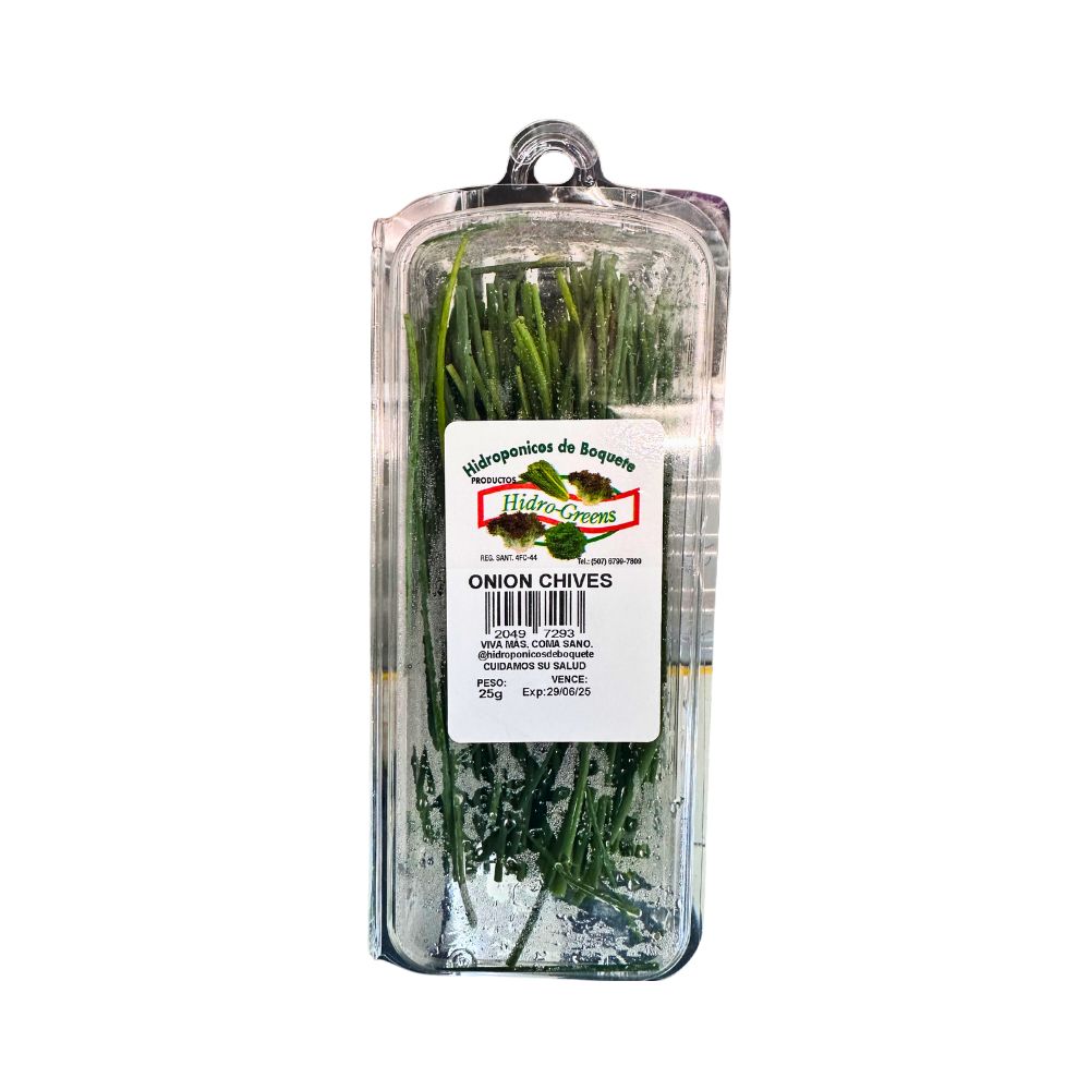 ONION CHIVES HIDROPONICA EMPACADA PILONES DE BOQUETE