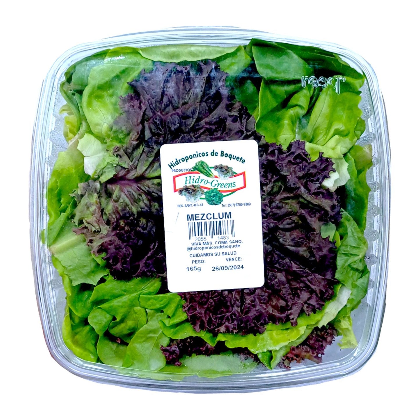 MEZCLUM EMPACADO 165 GR PILONES DE BOQUETE