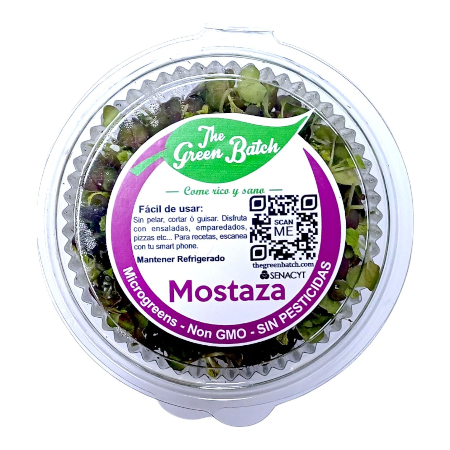 MOSTAZA MICRO GREENS EMPACADA 1.6 GR GREEN LEAVES