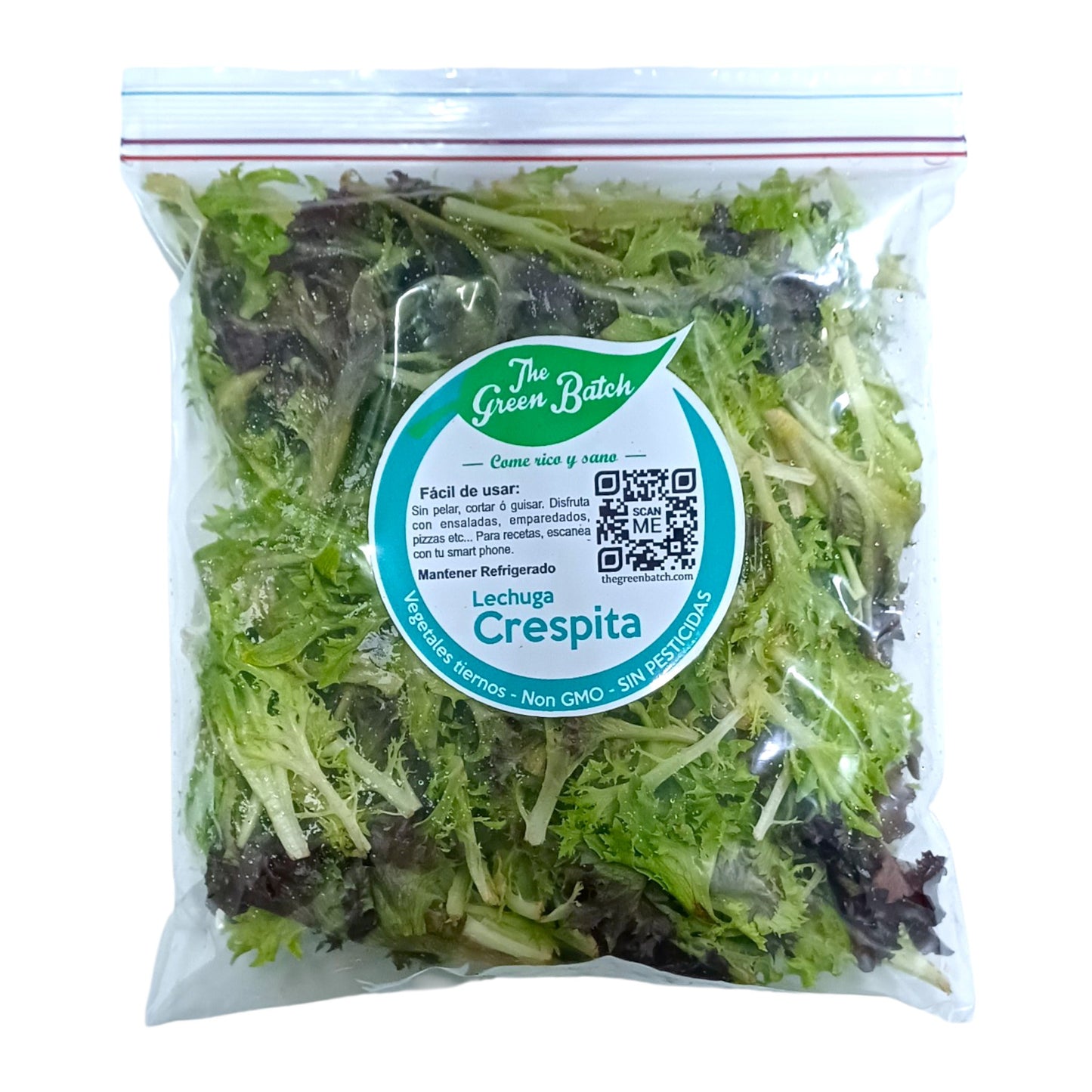 LECHUGA CRESPITA 230 GR