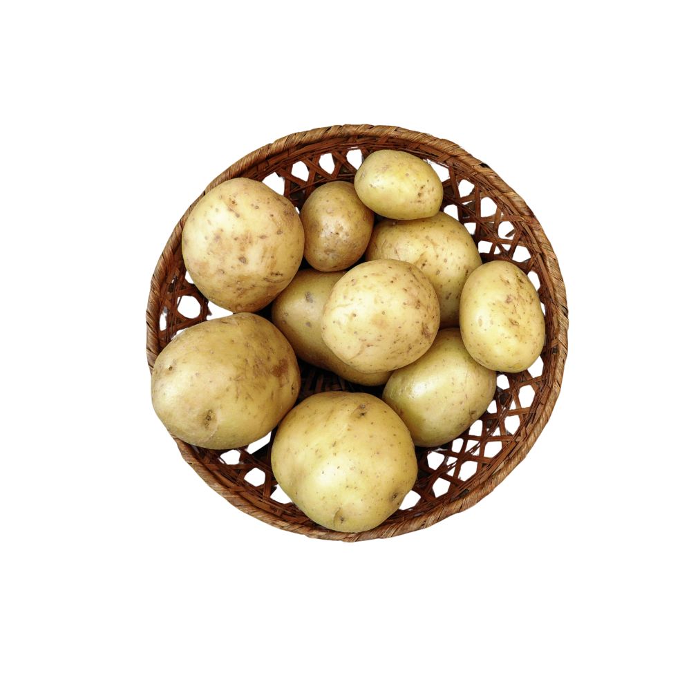 PAPIN X 1 KG VEGETALES Y VERDURAS