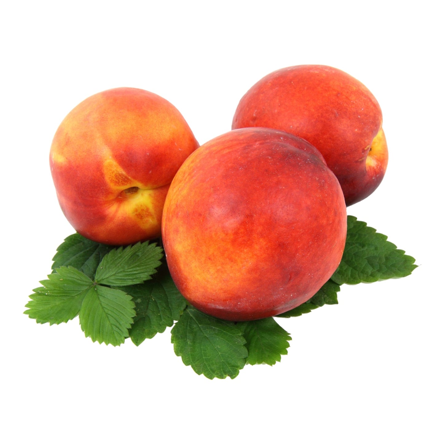 NECTARINES IMPORTADOS POR 0.5 KG