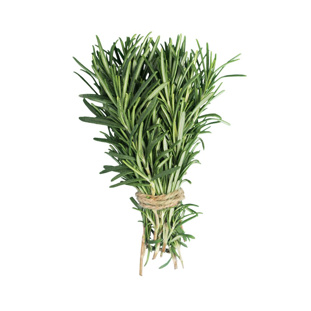 ROMERO EN ROLLO X UN SUPER BARU