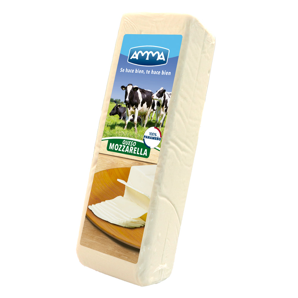 QUESO MOZZARELLA AMMA X KG