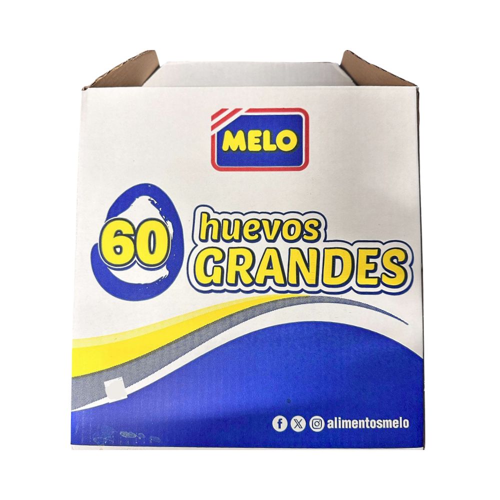 HUEVOS GRANDES 60 UN MELO