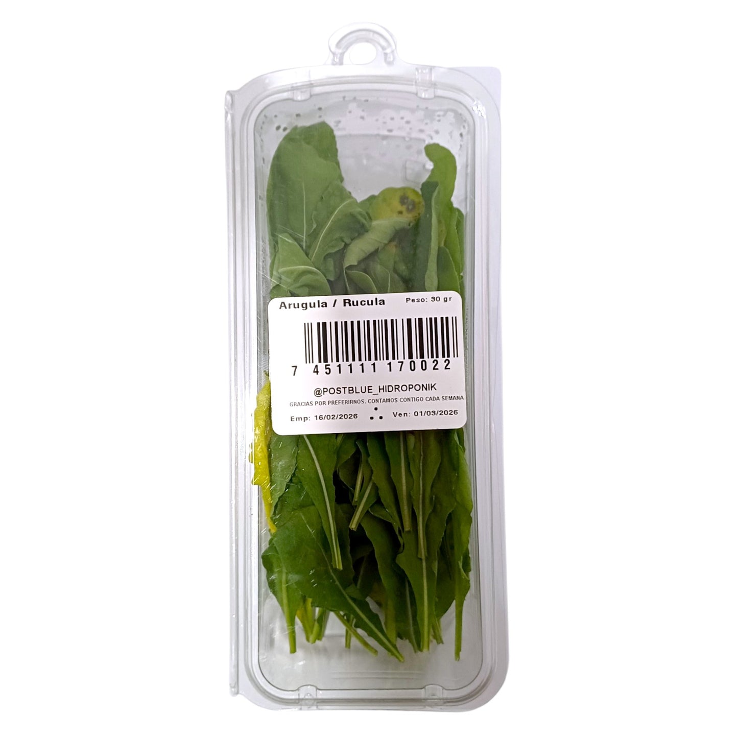 ARUGULA 30 GR