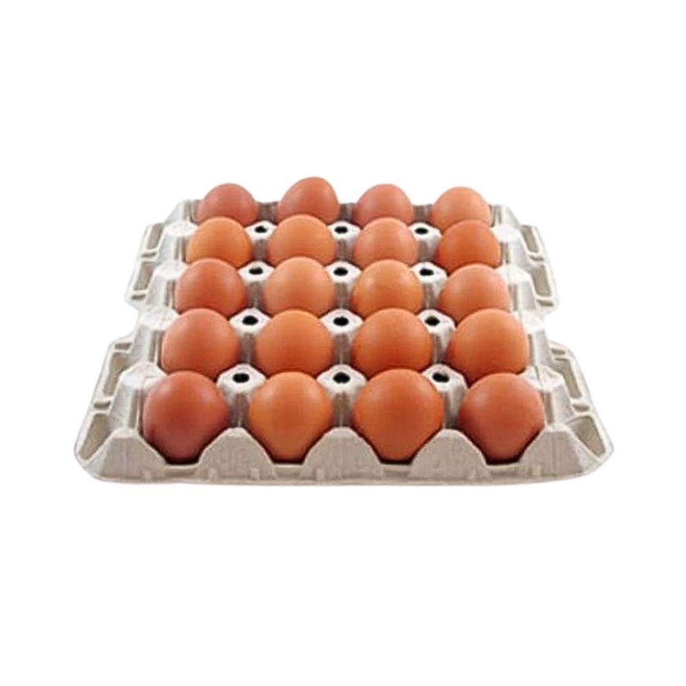 HUEVOS GRANDES EN BANDEJA 20 UN TOLEDANO