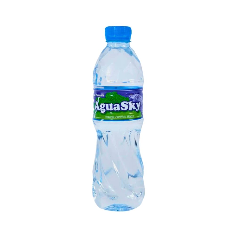 AGUA DE MANANTIAL 600 ML AGUA SKY