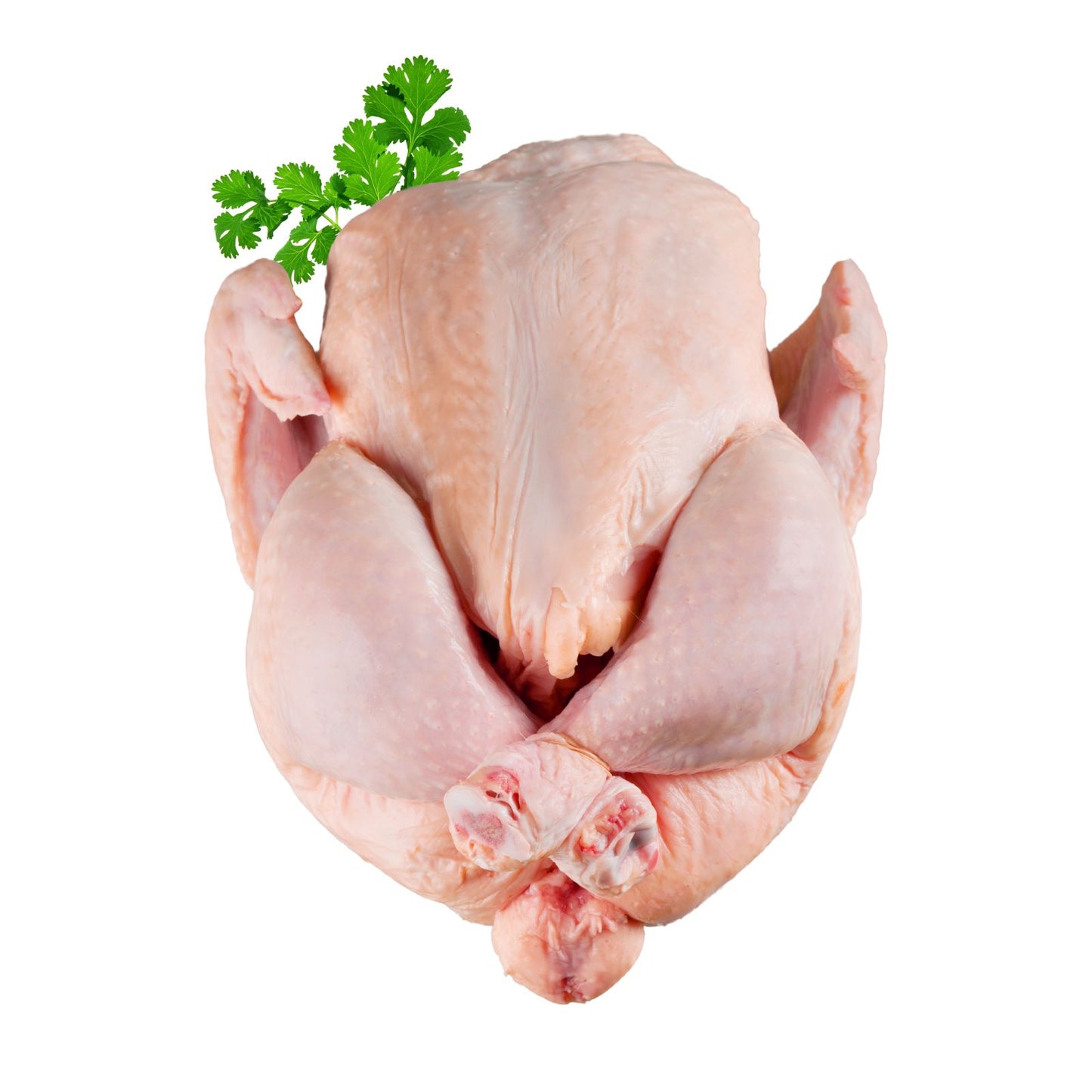 GALLINA DURA PEQUENA ENTERA POR 1.5 KG