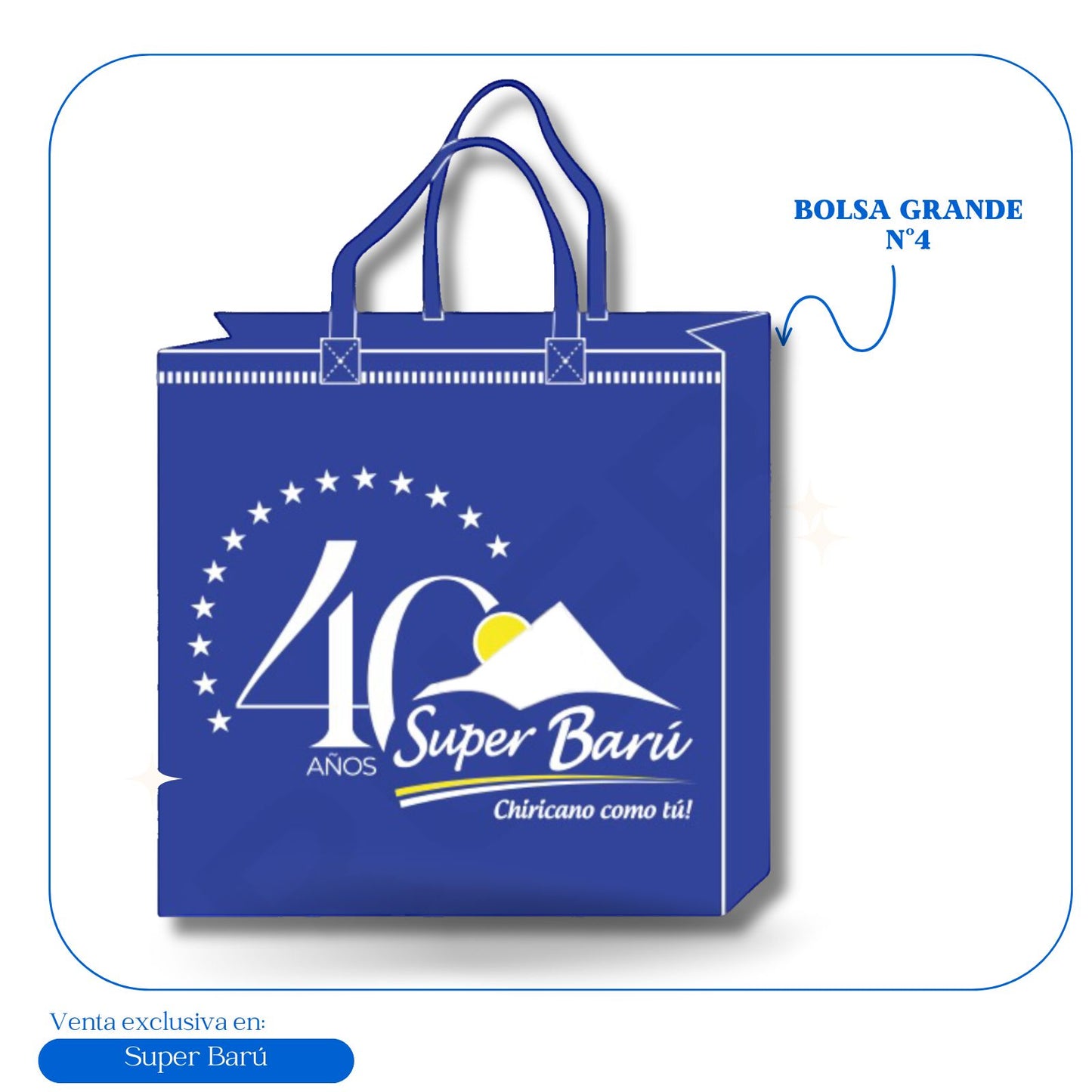 BOLSA GRANDE