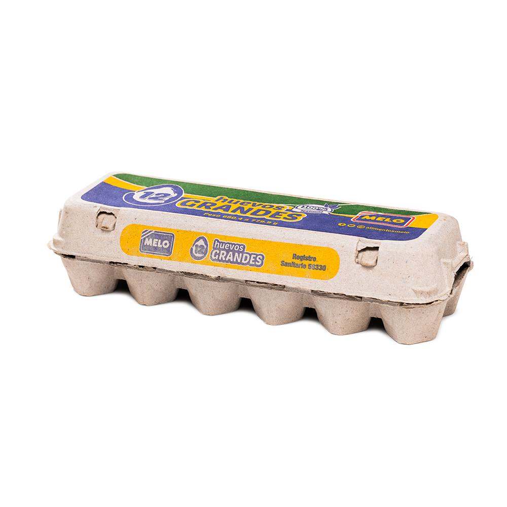 HUEVOS POR DOCENA MELO