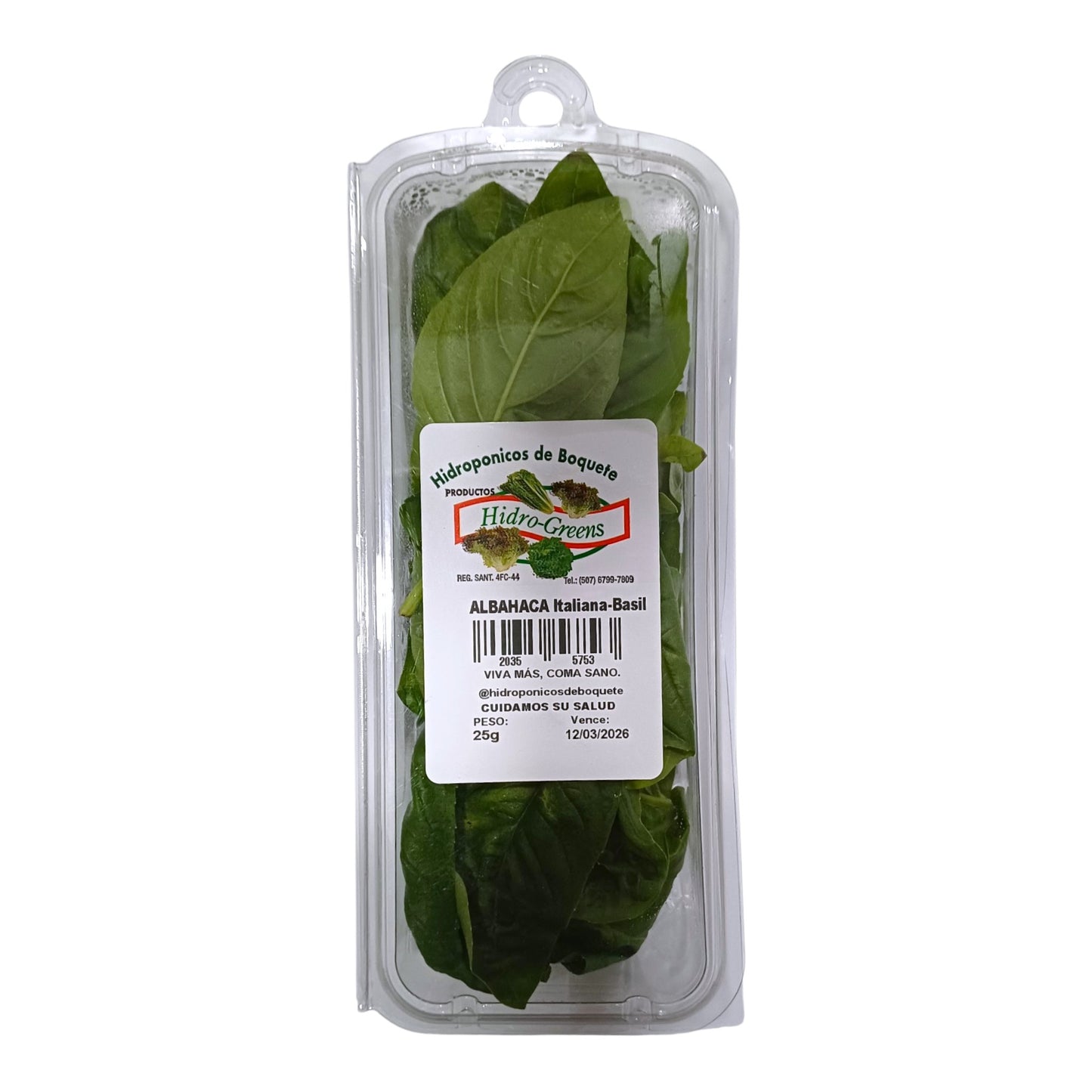 ALBAHACA ITALIANA EMPACADA 25 GR