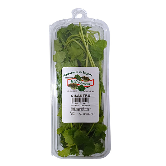 CILANTRO EMPACADO 25 GR