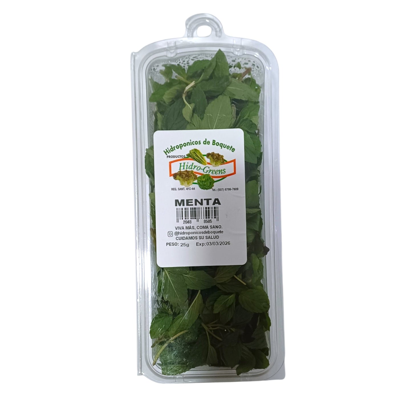 MENTA EMPACADA 25 GR PILONES DE BOQUETE