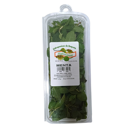 MENTA EMPACADA 25 GR PILONES DE BOQUETE