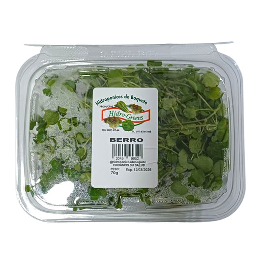 BERRO EMPACADO 70 GR