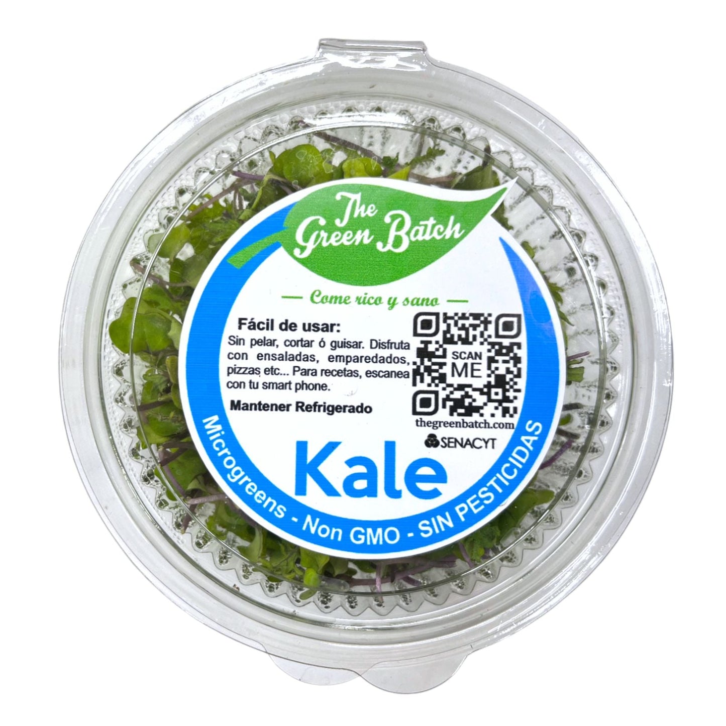 KALE EMPACADO MICRO GREENS  GREEN LEAVES