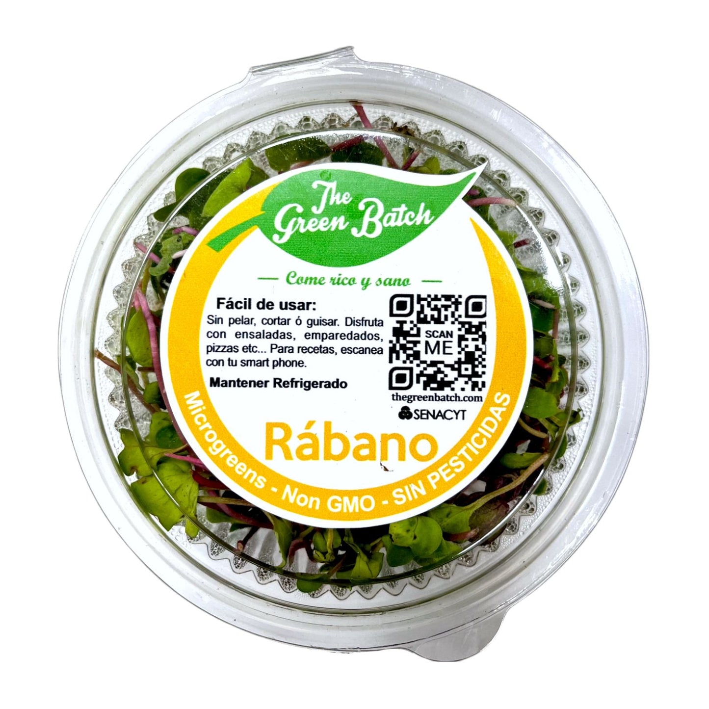 RABANO EMPACADO MICRO GREENS GREEN LEAVES