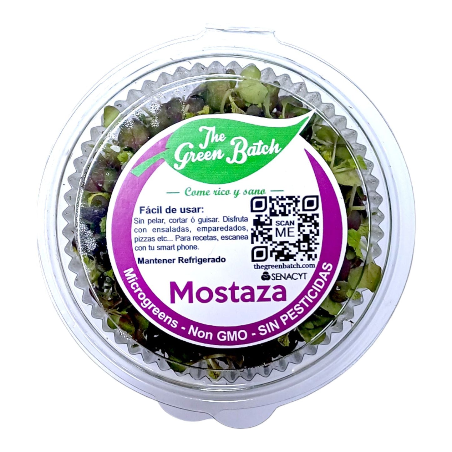 MOSTAZA MICRO GREENS EMPACADA 1.6 GR GREEN LEAVES