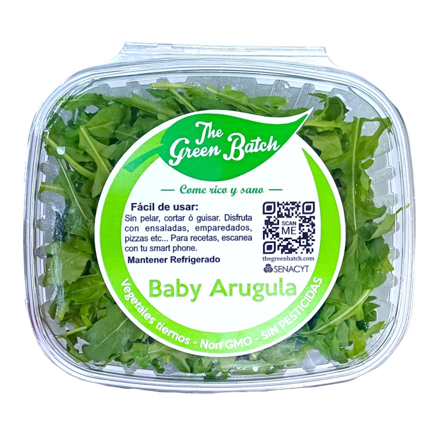 BABY ARUGULA EMPACADA 100 GR THE GREEN BATCH