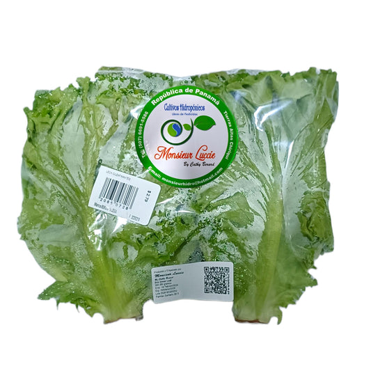 LECHUGA DE MANTEQUILLA 300-350 GR