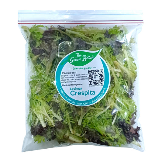 LECHUGA CRESPITA 230 GR