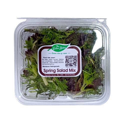 SPRING SALAD MIX 120 GR