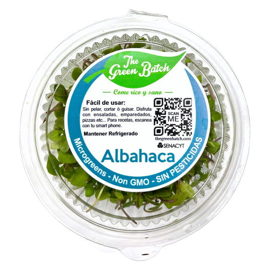 ALBAHACA EMPACADA MICRO GREENS GREEN LEAVES