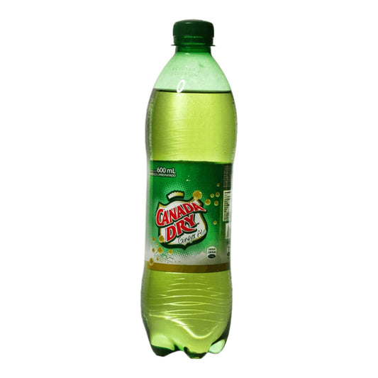 GINGER ALE PLASTICO 600 ML CANADA DRY