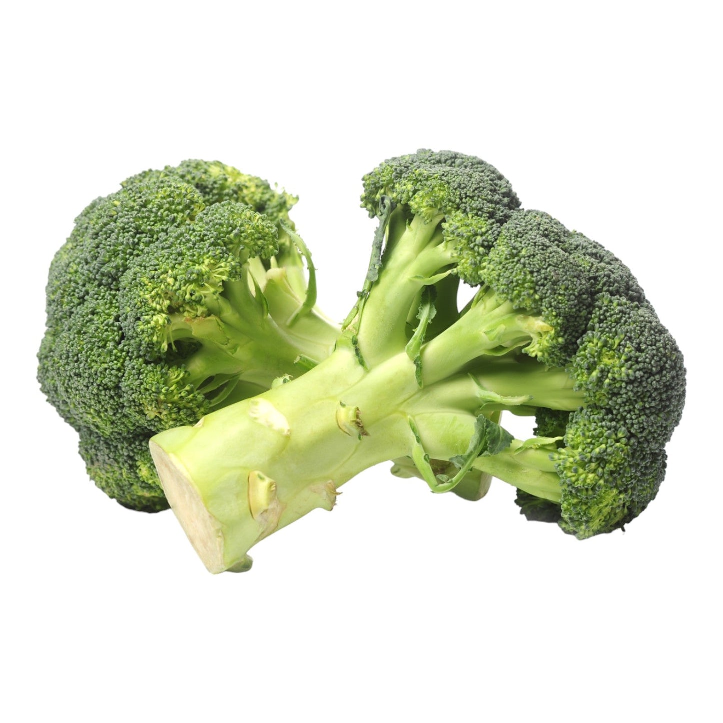 BROCOLI POR 0.5 KG