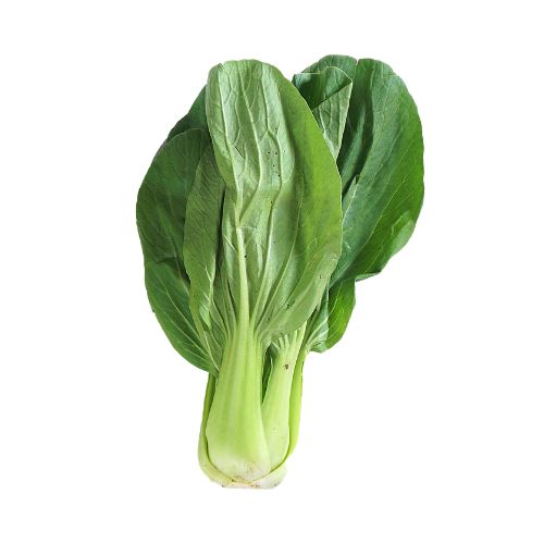 HOJA DE MOSTAZA