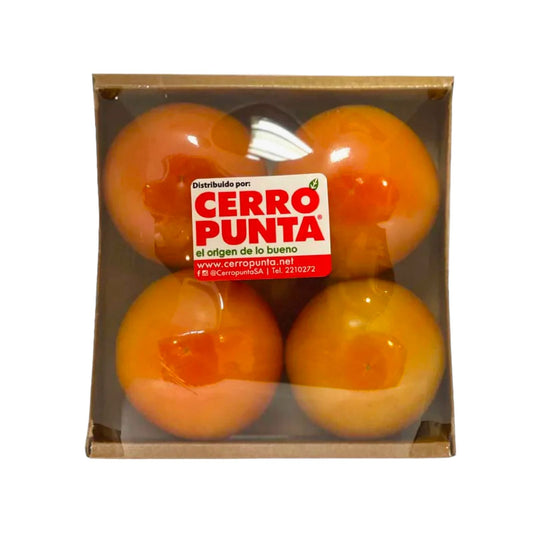 TOMATE EMPACADO ROMA POR 1 KG