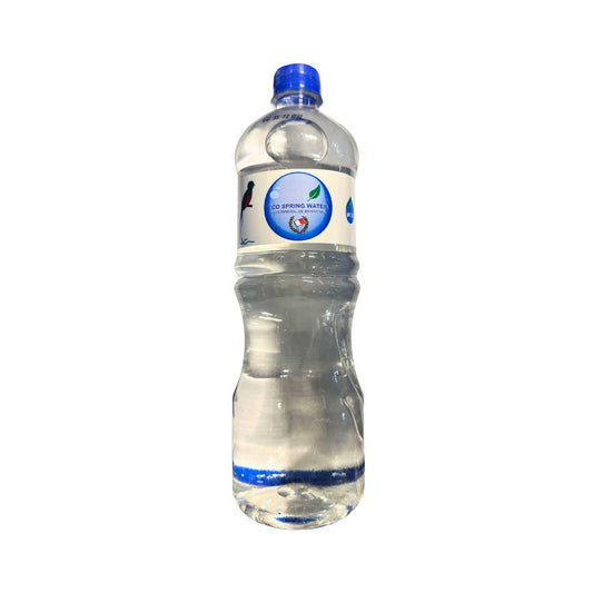 AGUA DE MANANTIAL ECOLOGICA ECO SPRING 1000 ML ECO SPRING