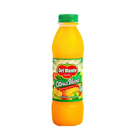 BEBIDA CITRUS BLEND NARANJA 500ML DEL MONTE