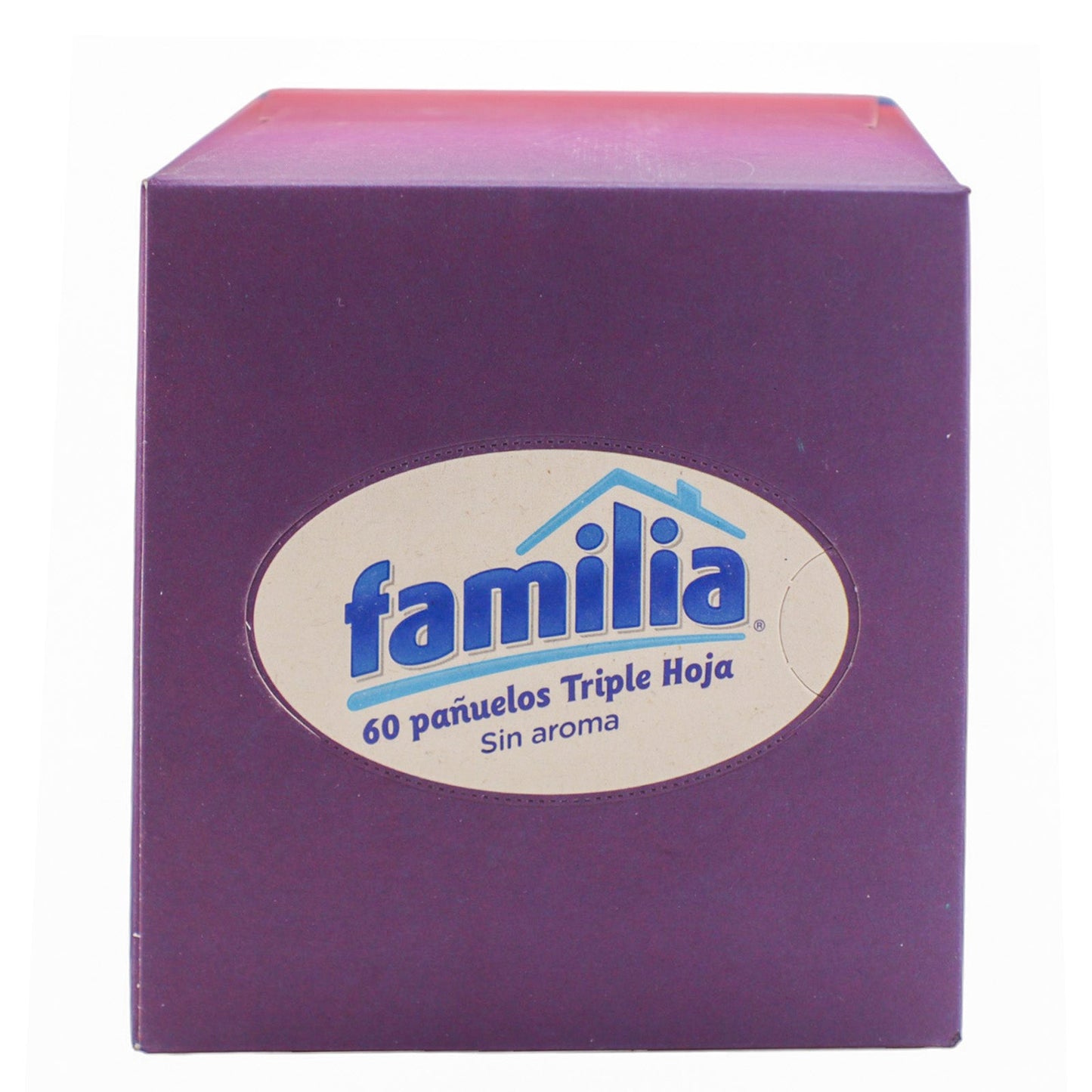 PANUELO DESECHABLE CUBO 60 UN FAMILIA