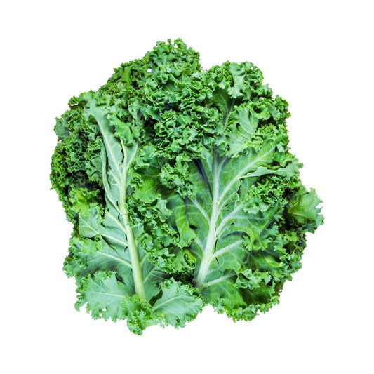 KALE MORADO FRESCO POR KG