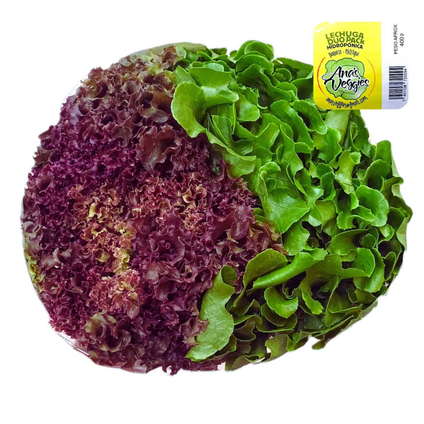 LECHUGA MIXTA DUO PACK CRESPITA - ROBLE 450 GR ROMA UN