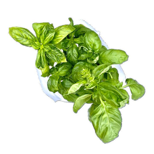 ALBAHACA GENOVESA EMPACADA 150 GR JANSON FARMS