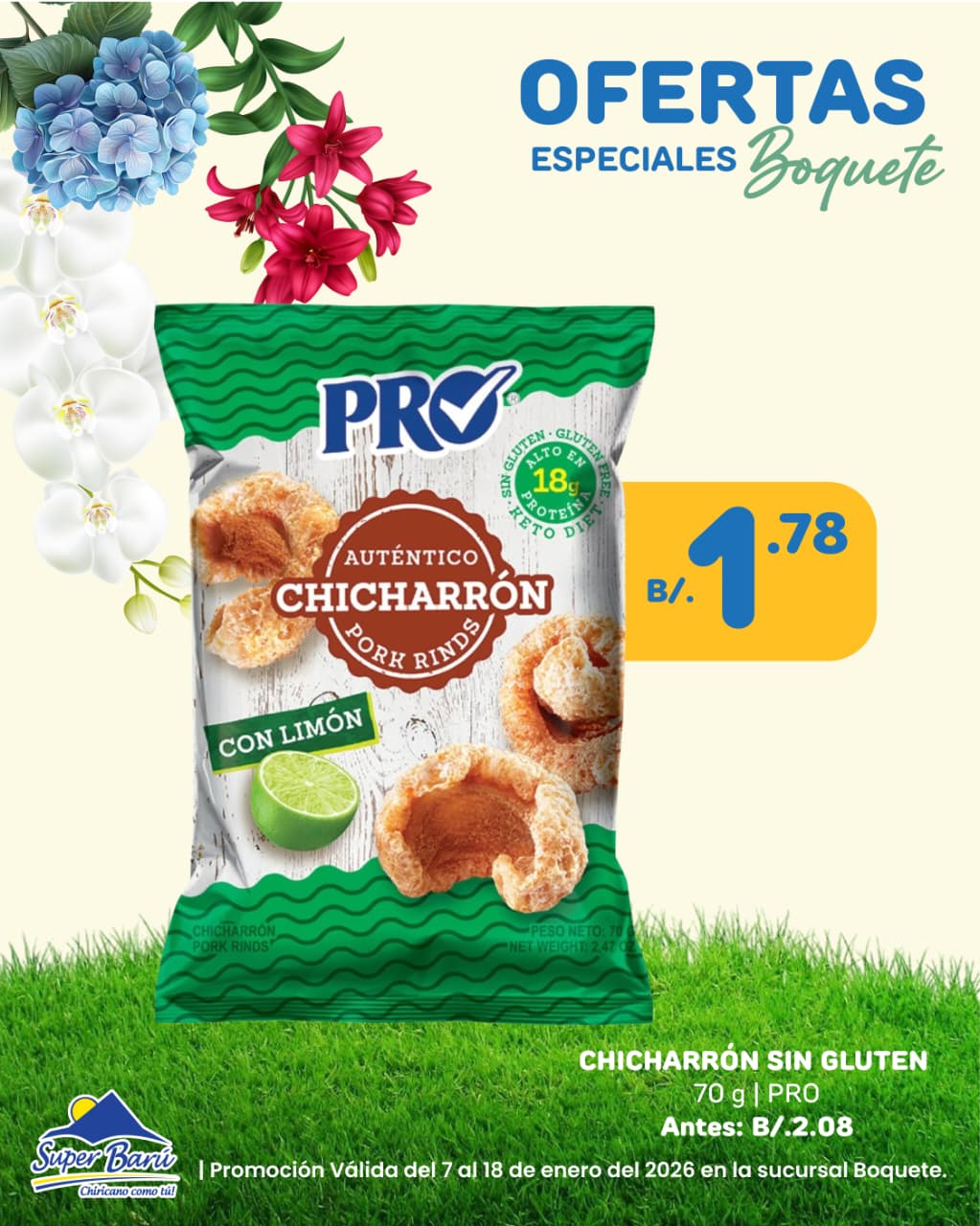CHICHARRON SIN GLUTEN 70 GR PRO